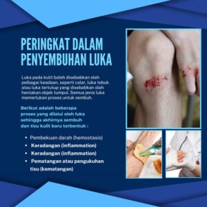 Peringkat Dalam Proses Penyembuhan Luka